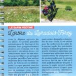 Boucles-a-velo-Puy-de-Dome-9782844666581-2