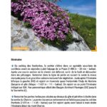 45 itinéraires de randonnée autour des plus beaux lacs du Mont-Blanc en France, Suisse et Italie. Une évasion dans la montagne pour tous les niveaux.