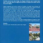 Un guide des refuges au coeur des Pyrénées. 17 itinéraires sur fond de carte IGN Top 25, détaillé et illustré. Un guide indispensable.